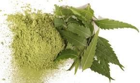 Organic Neem Leaf Powder