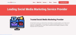 social media services