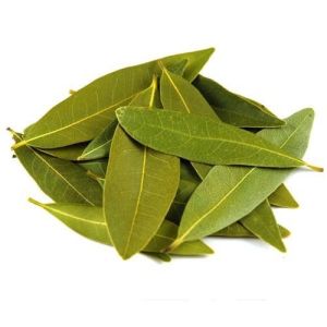 Spicy Green Bay Leaf