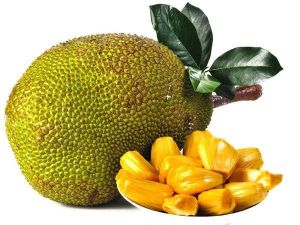 Green Jackfruit