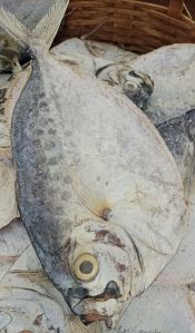 silver dry chandi fish