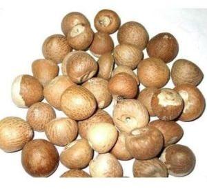 A Grade Brown Areca Nuts