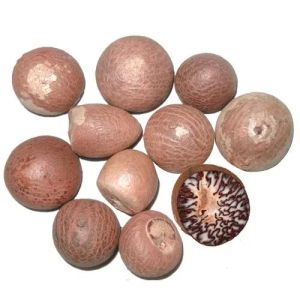 organic areca nuts