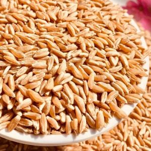 Emmer wheat