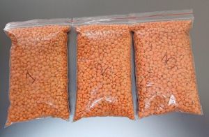 Whole Red Lentil