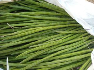 Drumstick Vegetables