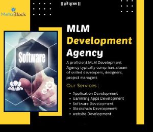 MLM Development