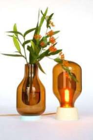 Two Way Glass Flower Vase