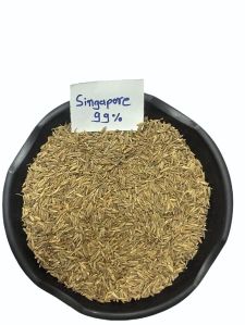 brown cumin seed