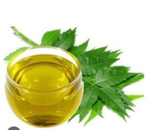 Neem Essential oil 100 % pour Natural cold press