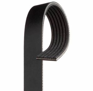 v ribbed belt