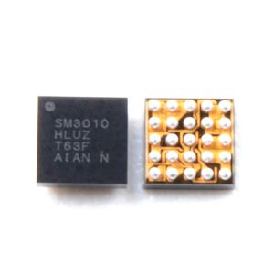 SM3010 Display IC