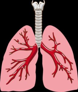 Pulmonology Service