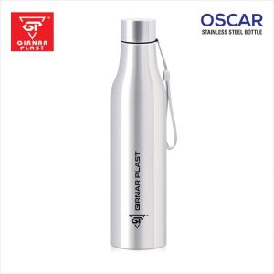 stainless steel bottle