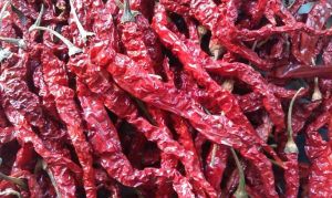 red chilli