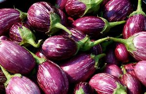 Brinjal