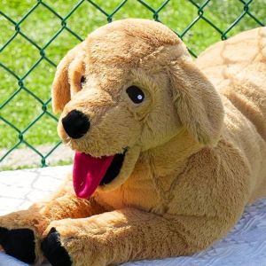 Labrador Dog Soft Toy