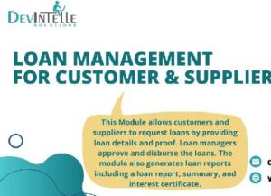 loan management system