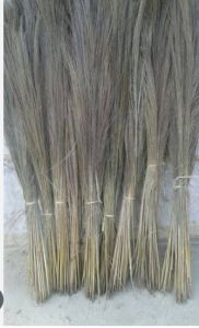 Asham grass broom