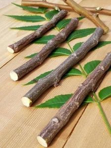 Neem stick toothbrush