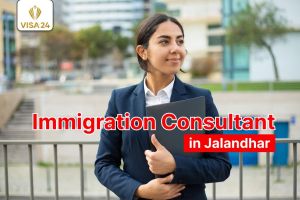 Immigration Consultants