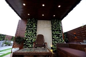 green vertical gardens services