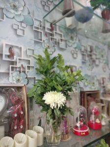 fresh white chrysanthemum flowers