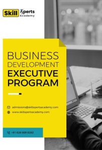 Business Development Executive Program