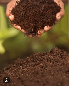 Vermicompost Fertilizer