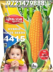 Maize seeds Hybrid