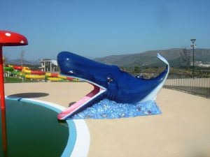 Whale Slide