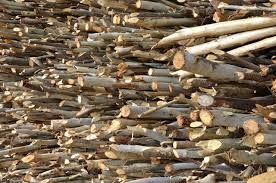 Dry Eucalyptus Firewood