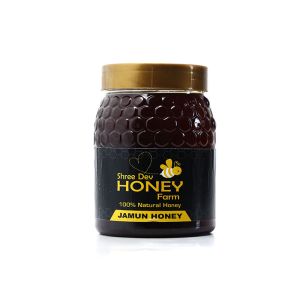 Shree Dev Jamun Honey