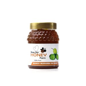 Shree Dev Mango Khatti Meethi Chutney