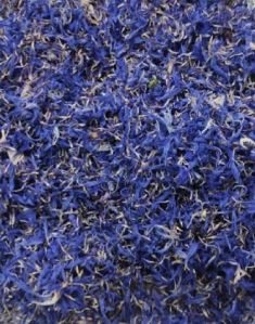 Blue corn flowers