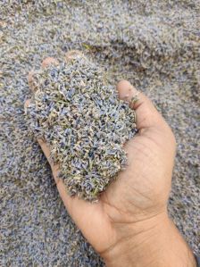 Dried lavender buds