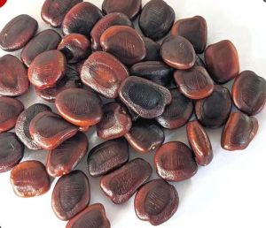 Tamarind Seed