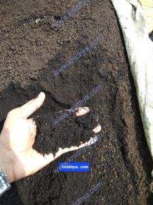 Vermicompost Fertilizer