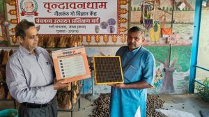 cow dung acupressure mat