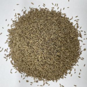 Cumin Seeds