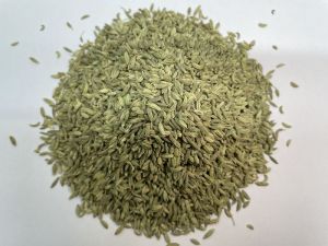 Fennel Seeds