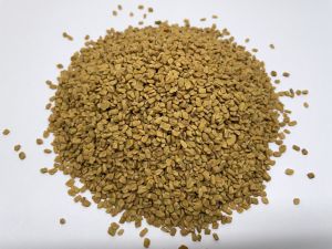 Fenugreek