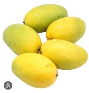 Dasheri Mango