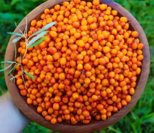 Seabuckthorn Pulp