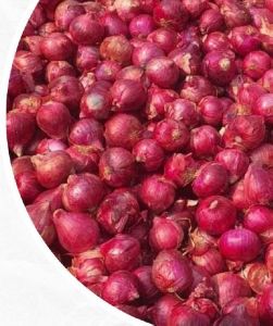 Red Onion