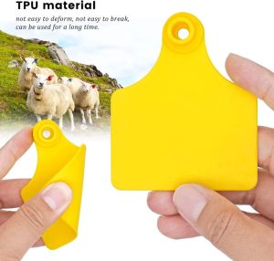 Ear Tag