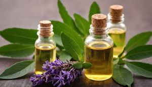 top essential oils