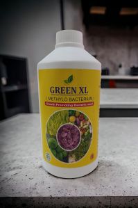 METHYLO BACTERIUM- GREEN XL