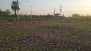 agriculture land sale