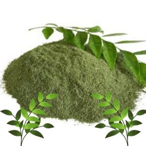 Dry Curry Leaves Powder